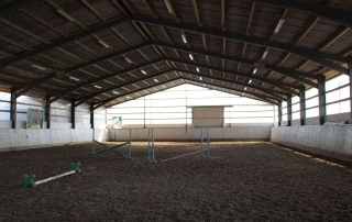 Pferdepension - Pferdeführanlage